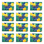 Phebo Sicilian Lemon Glycerin Soap Bar 100g, Kit of 12